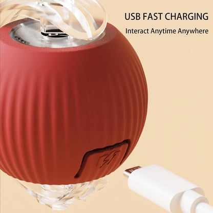 360° Smart Automatic Rolling Pet Ball – Interactive Rechargeable Toy for Dogs & Cats with Obstacle Avoidance