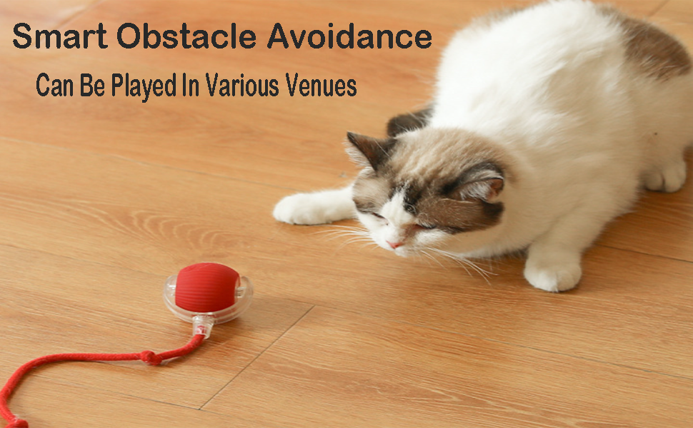 360° Smart Automatic Rolling Pet Ball – Interactive Rechargeable Toy for Dogs & Cats with Obstacle Avoidance