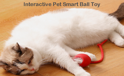 360° Smart Automatic Rolling Pet Ball – Interactive Rechargeable Toy for Dogs & Cats with Obstacle Avoidance